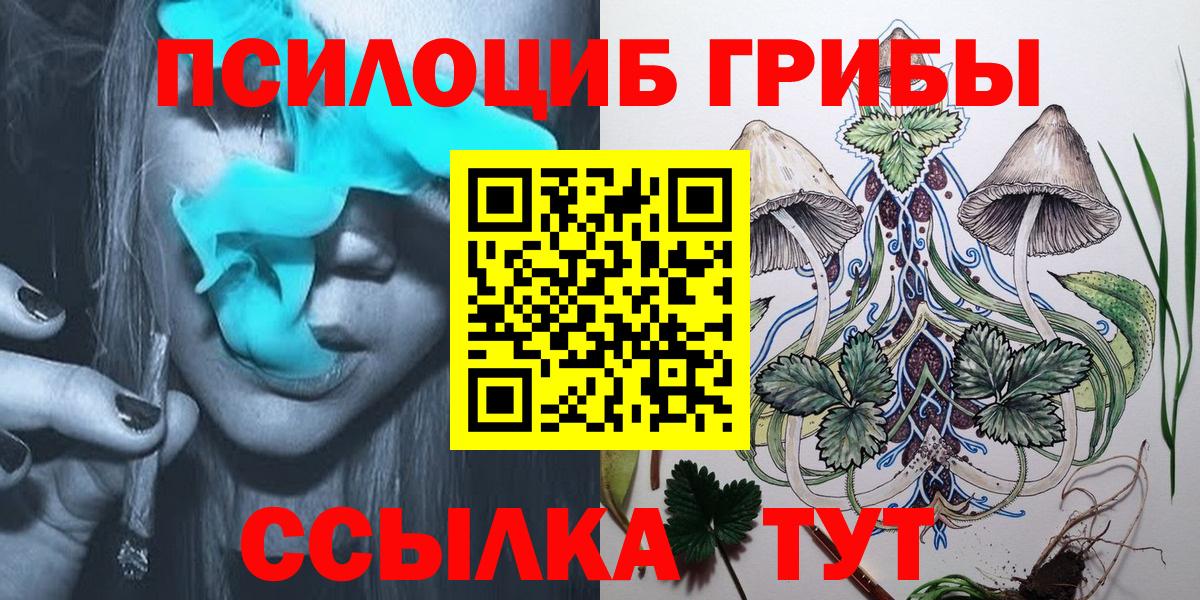 Галлюциногенные грибы Psilocybe  Вход с VPN  Кудымкар 